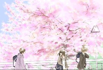 白洁张敏美红孙倩