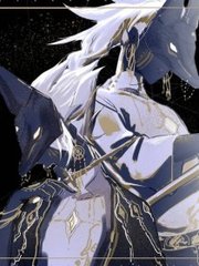 猫咪永久入口网站